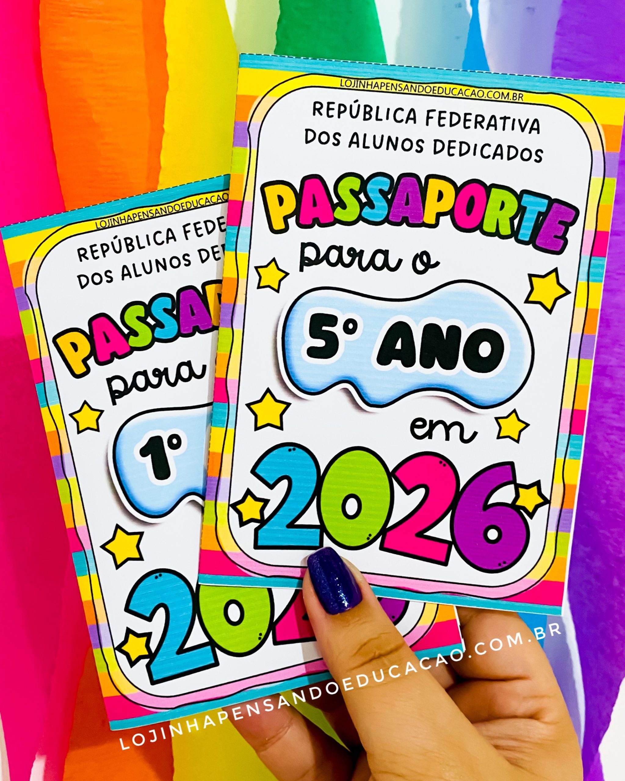 Passaporte para 2026 - Imagem 7