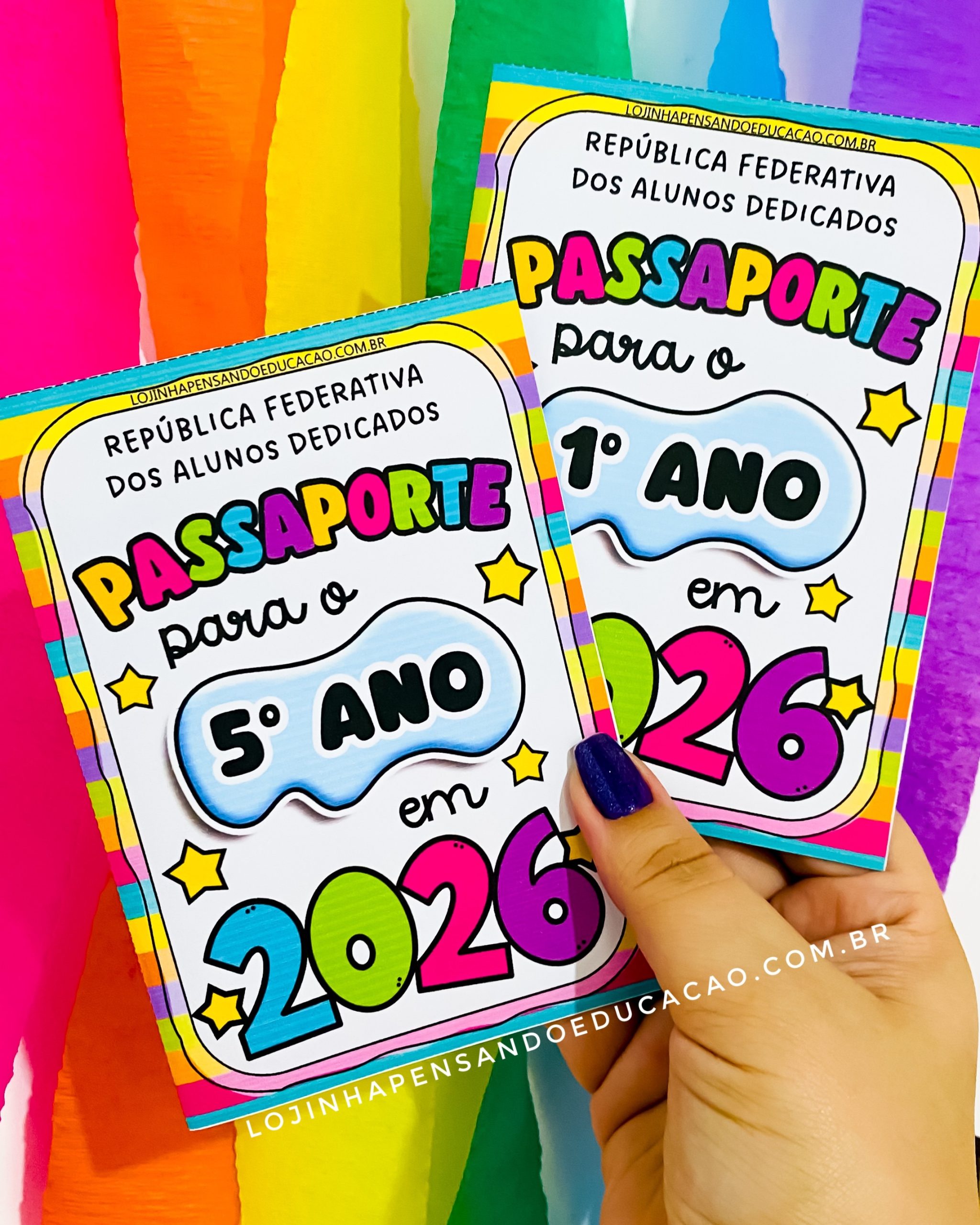 Passaporte para 2026 - Imagem 12